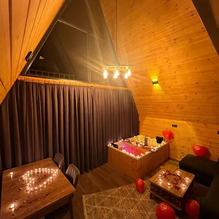 Chalet Agaran Wooden 2 *