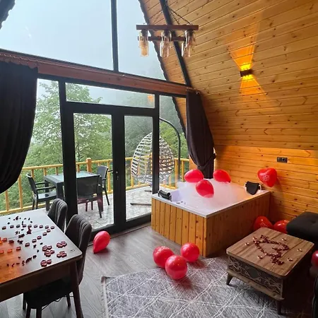 Chalet Agaran Wooden 2 Cayeli